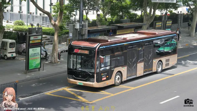 800BUS