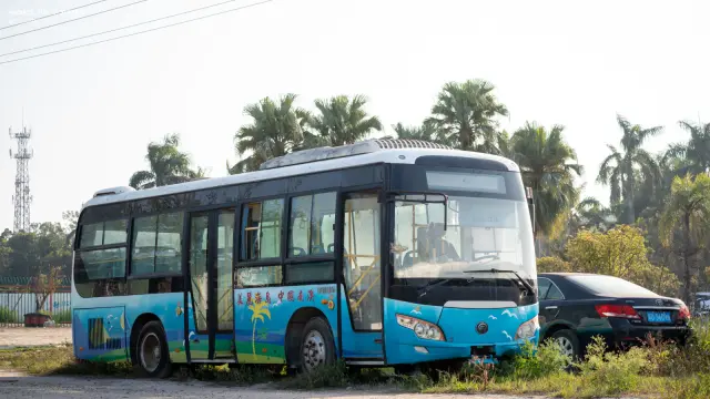 800BUS
