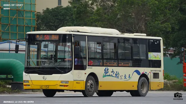 粤D17254