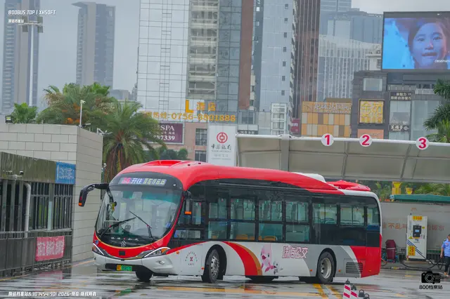 800BUS