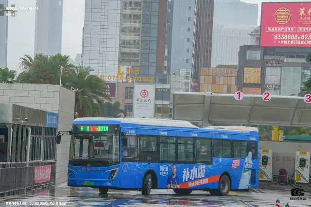 800BUS