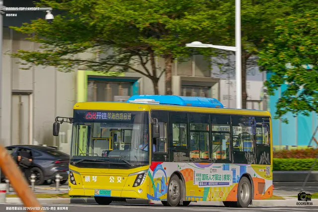 800BUS