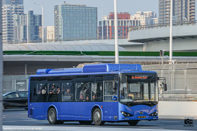 800BUS