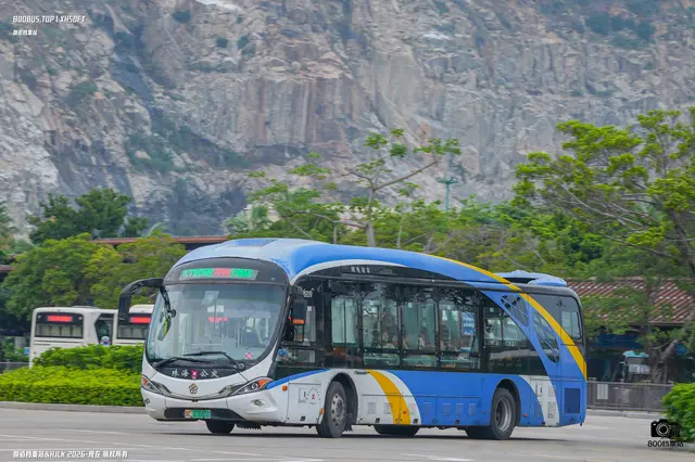 800BUS