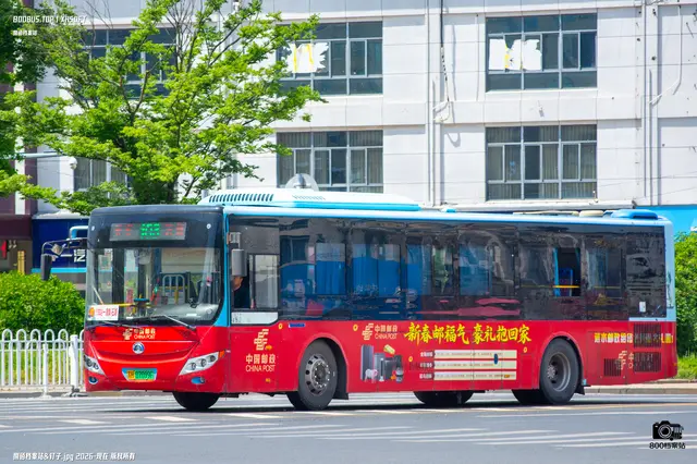 800BUS