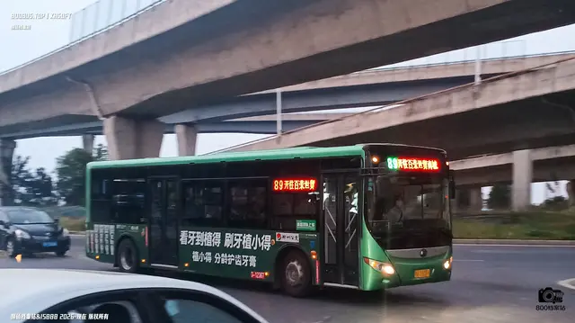 800BUS