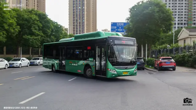 800BUS