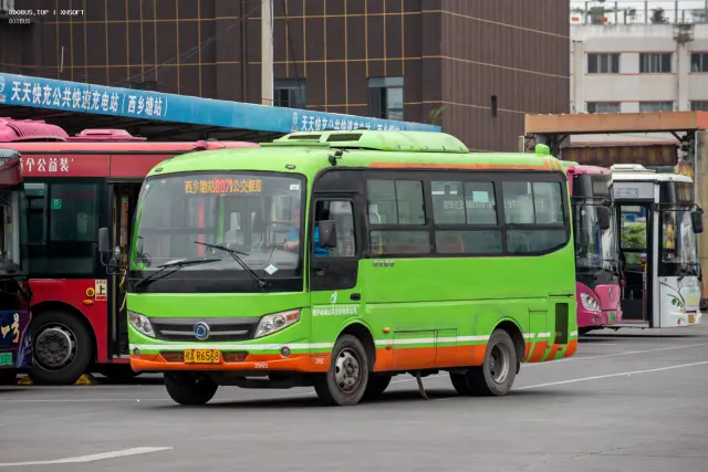 800BUS