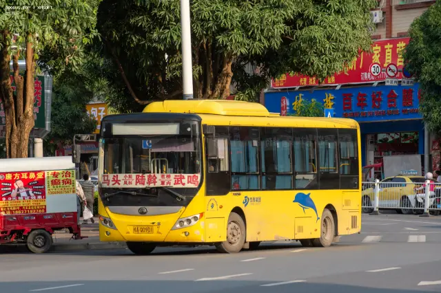 800BUS
