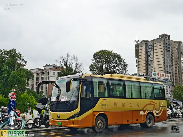 800BUS