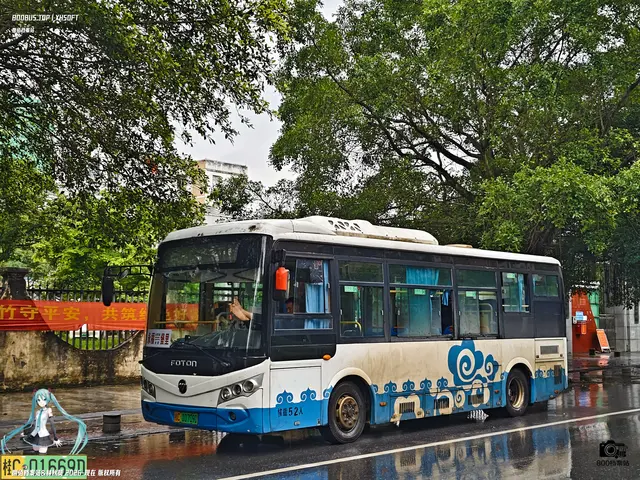 800BUS