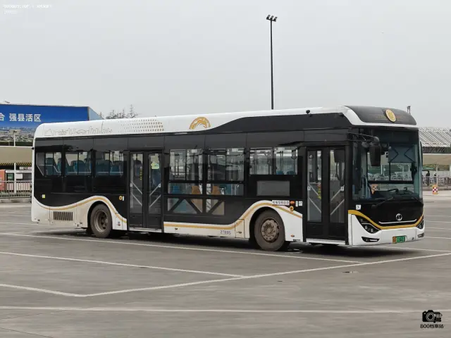 800BUS