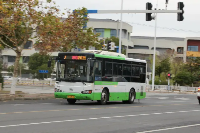 800BUS