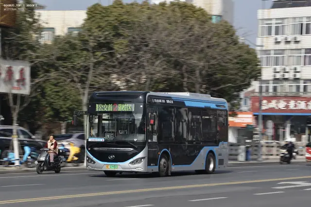 800BUS