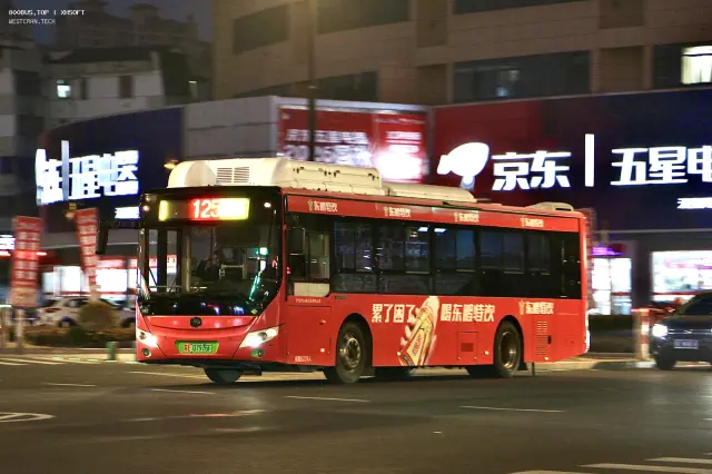 800BUS