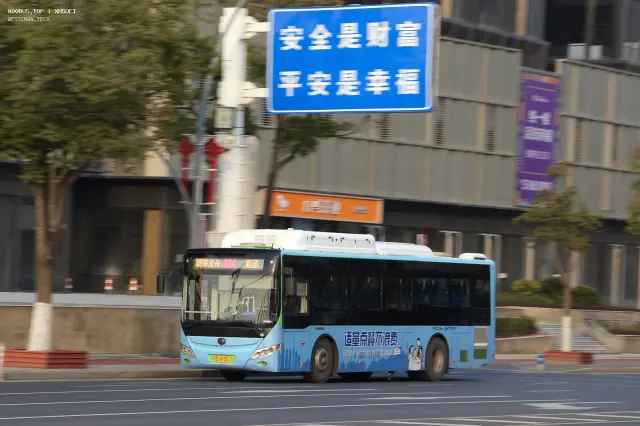 800BUS