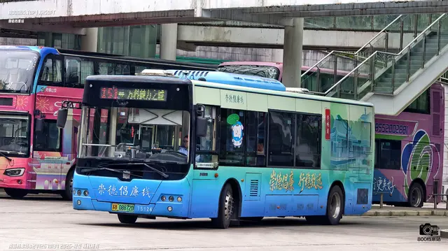 800BUS