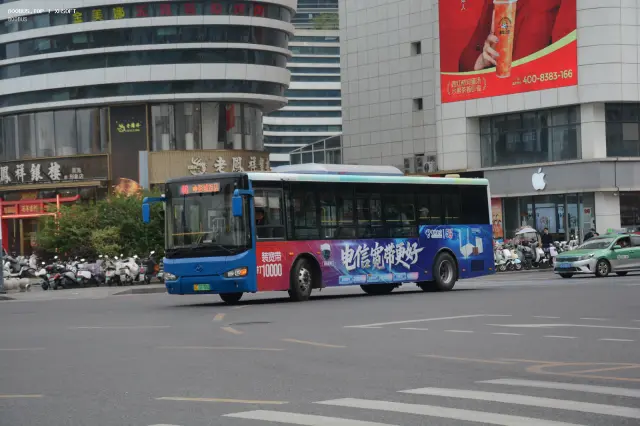 800BUS