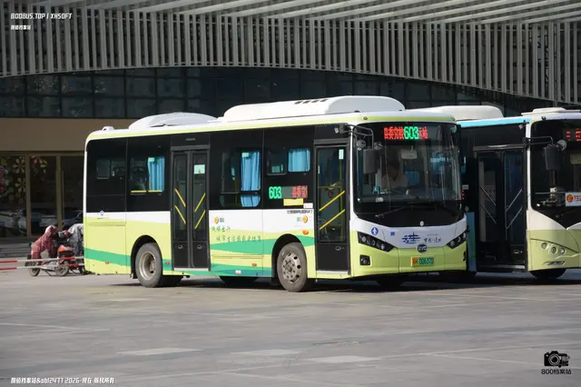 800BUS