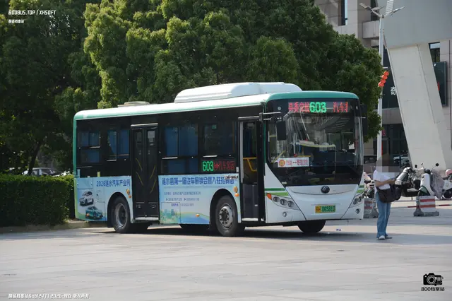 800BUS