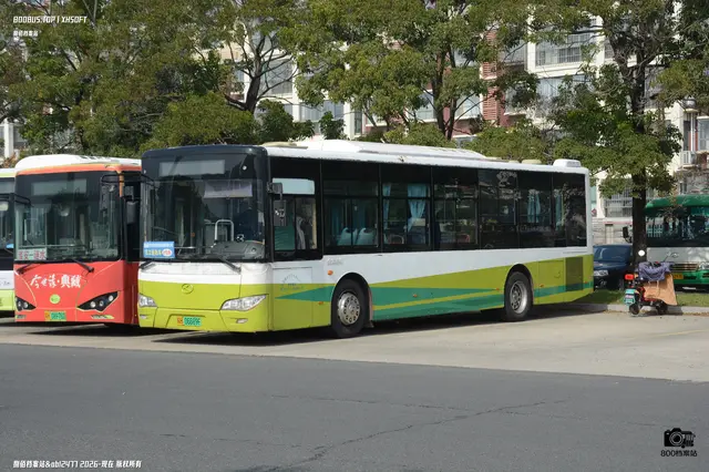 800BUS