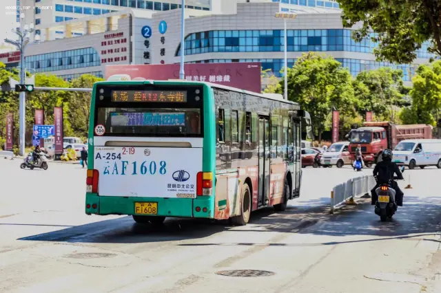 800BUS