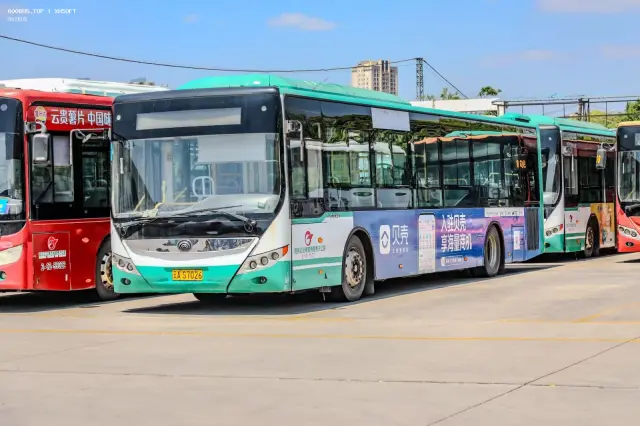 800BUS