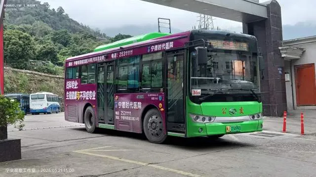 800BUS