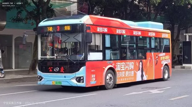 800BUS