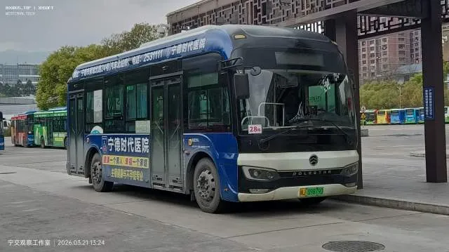 800BUS