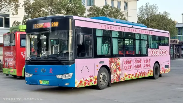 800BUS