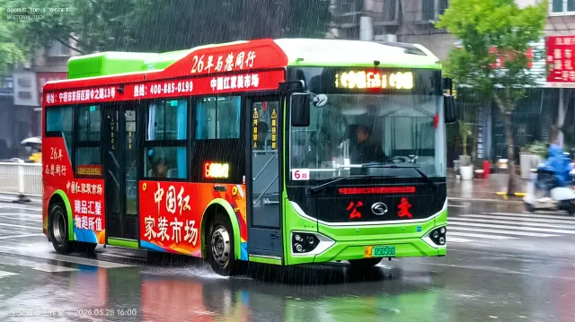 800BUS