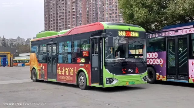 800BUS