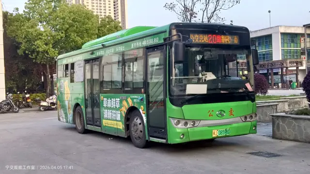 800BUS