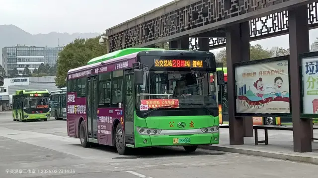800BUS