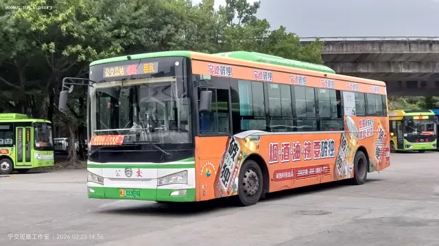 800BUS