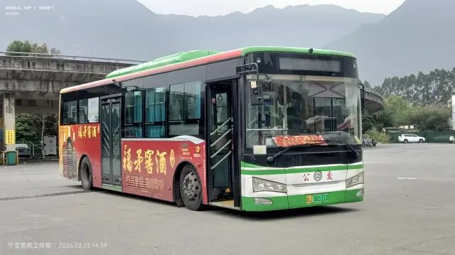 800BUS
