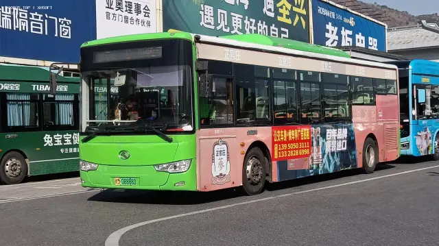 800BUS