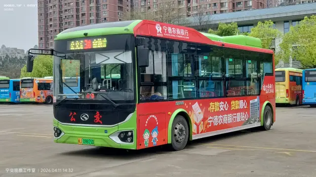 800BUS