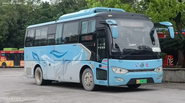 800BUS