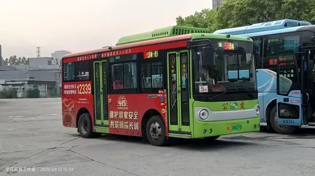 800BUS