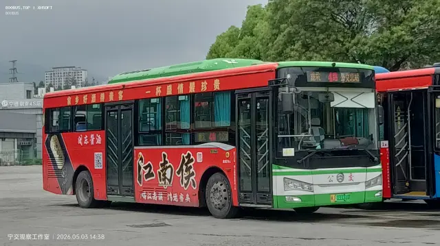 800BUS