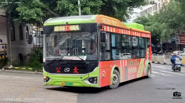 800BUS