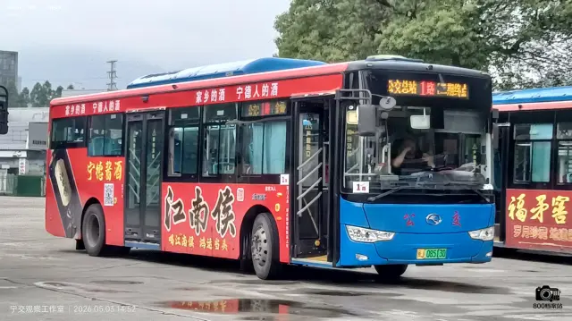 800BUS