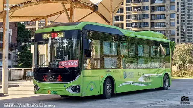 800BUS