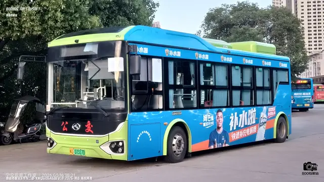 800BUS