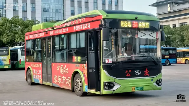 800BUS