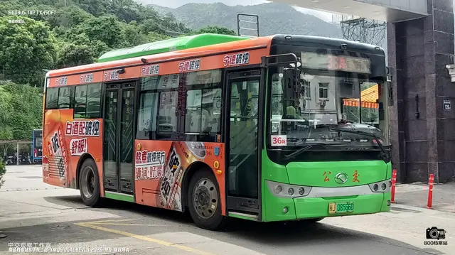 800BUS