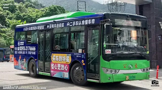 800BUS