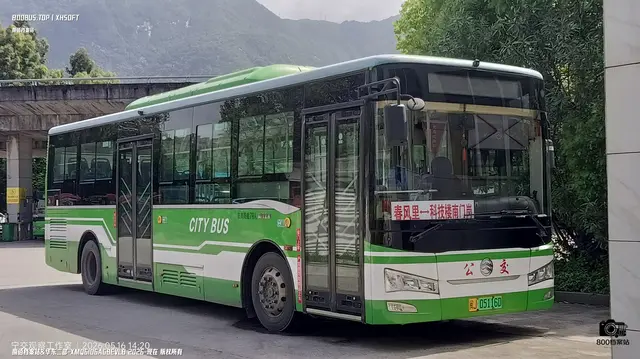 800BUS